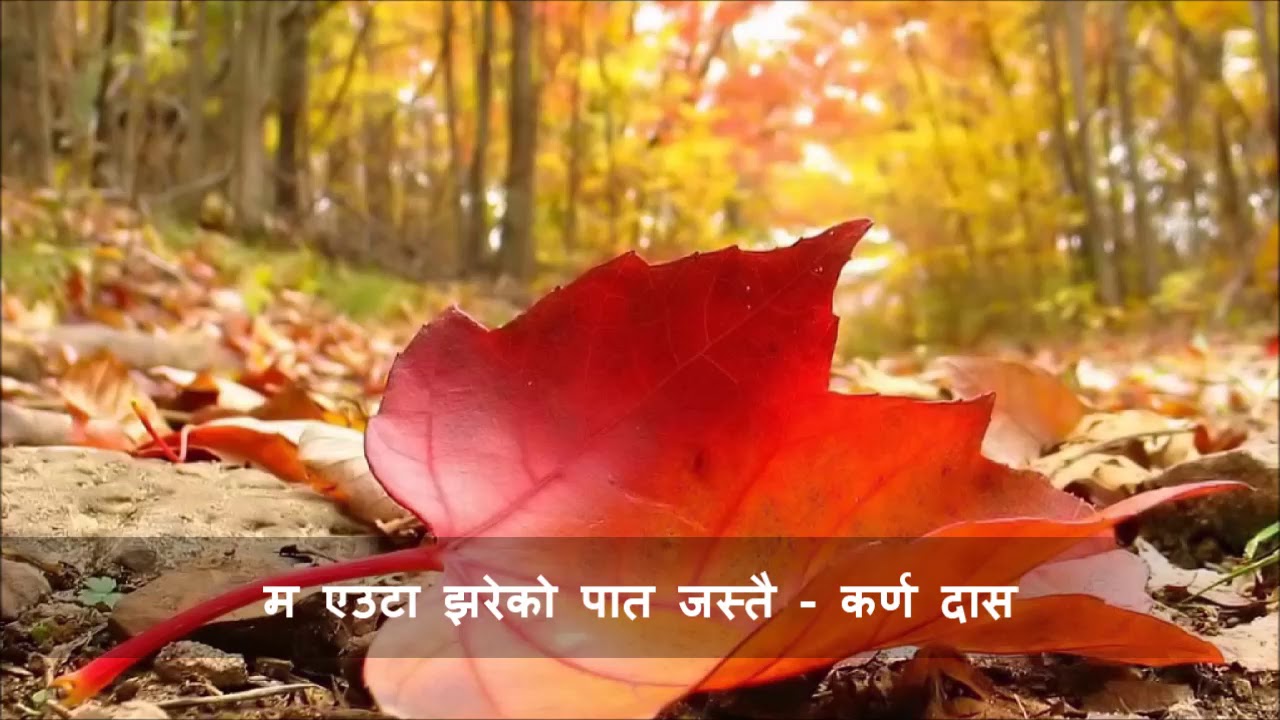 Ma Euta Jhareko Paat Jastai (म एउटा झरेको पात जस्तै) - Karna Das Christian Song