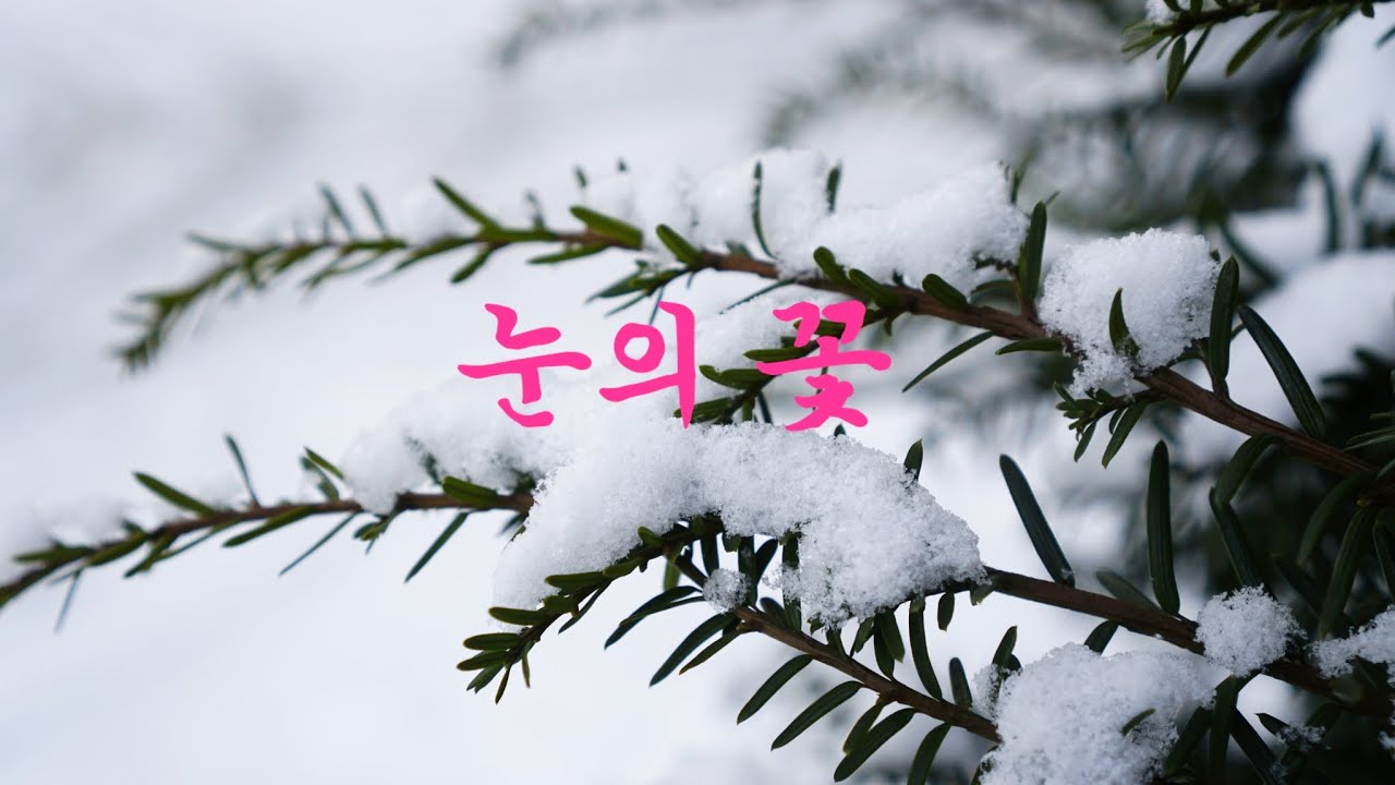 #눈의 꽃 _ 작사 :Satomi 작곡: Matsumoto #미안하다 사랑한다 OST #Array Mbira  Cover