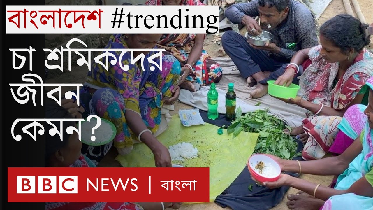 চা শ্রমিকরা কি অন্য শ্রমিক থেকে আলাদা | Bangladesh #trending