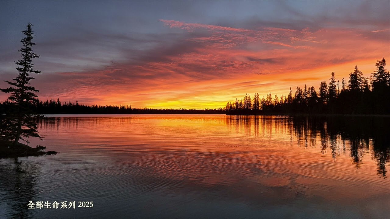 楊定一：醒覺可以註定嗎？