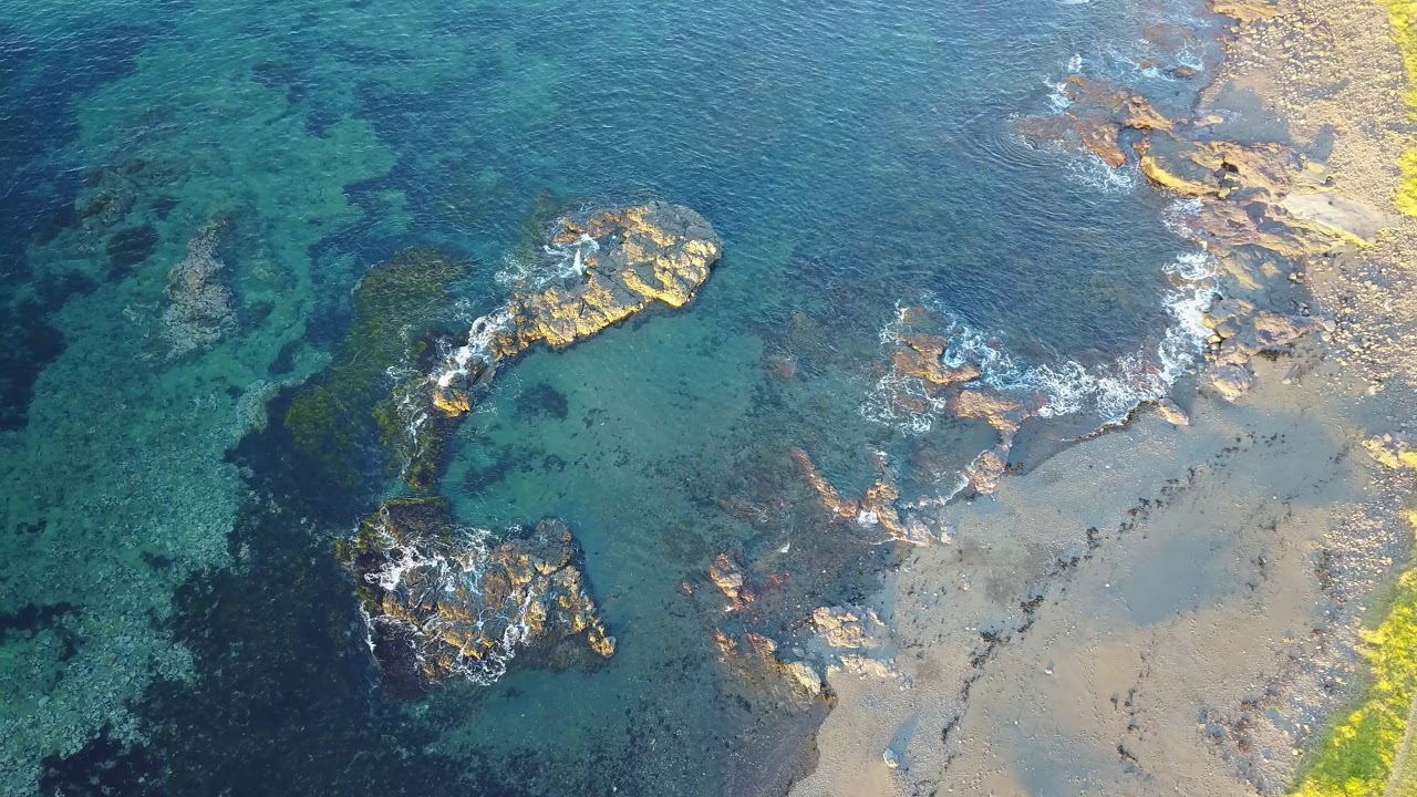 Bass Point - The Shallows