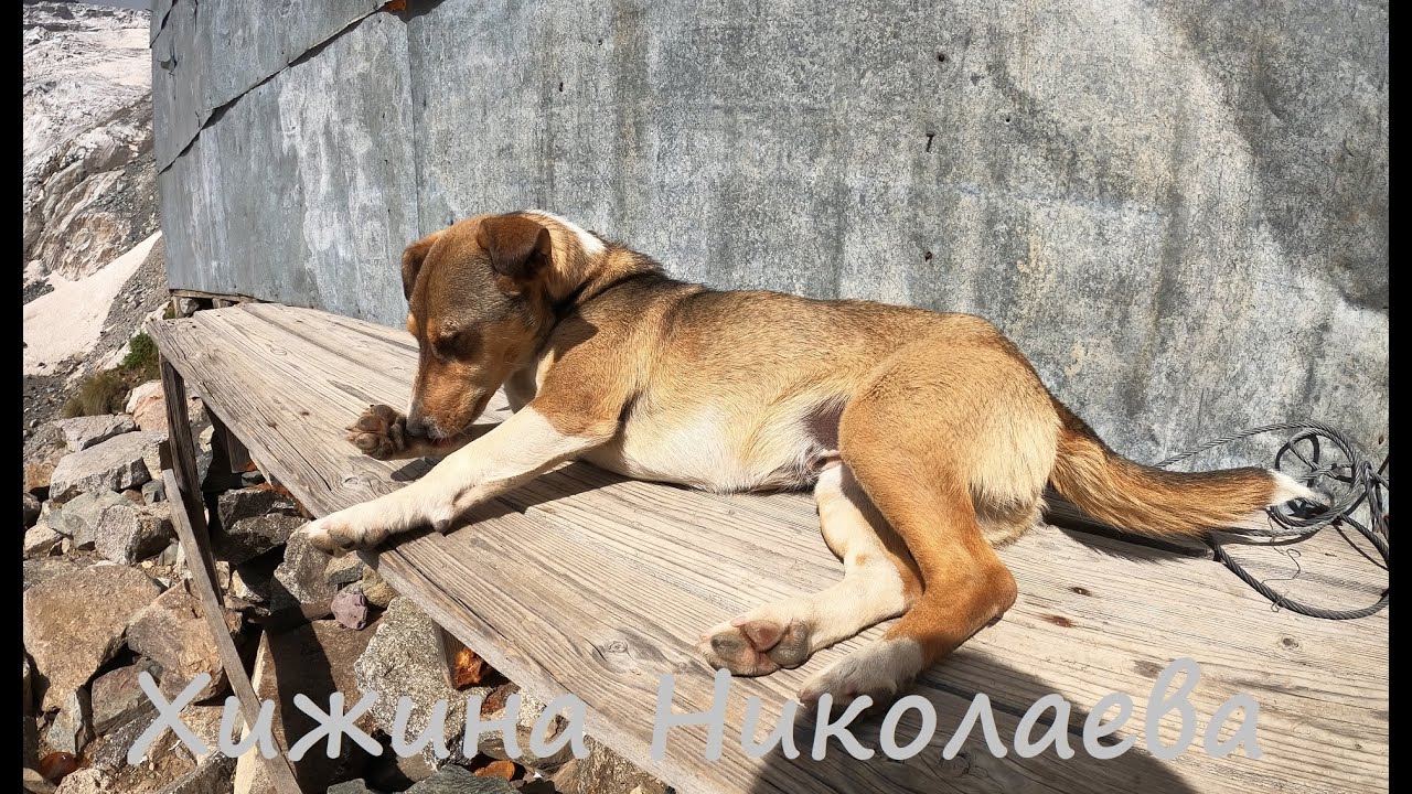 Хижина Николаева, Цейское Ущелье Август 2021/ Nikolaev's Hut , Tsey Gorge August 2021