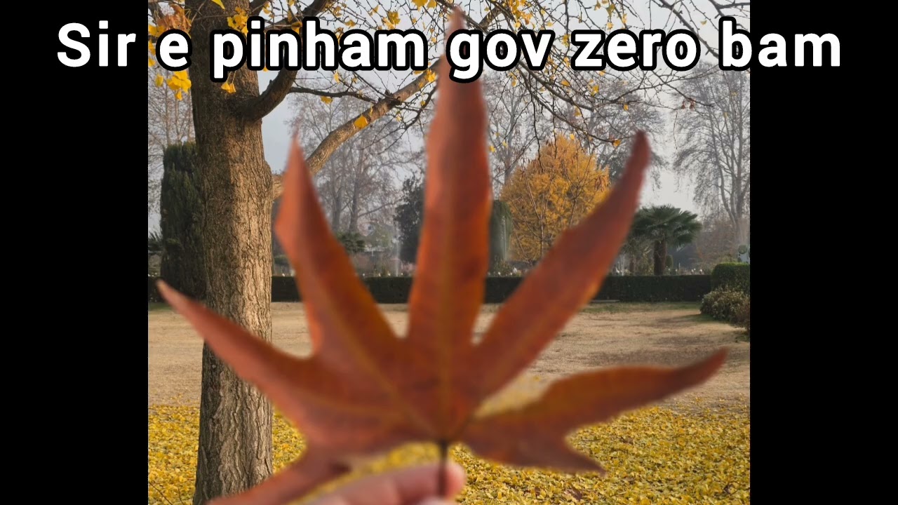 Sir e pinham gov zero bam, Kalam Rahim seab RA, Bashir seab, Bagh e Ali Mardan