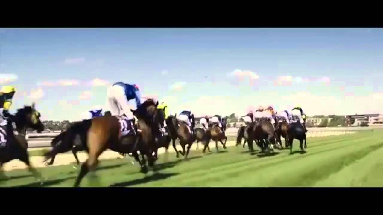 Racehorse Tribute