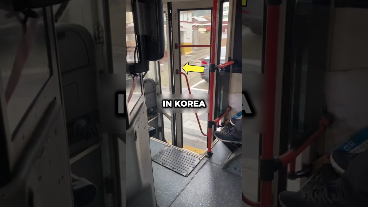 Вот почему в Корее ЛУЧШИЕ автобусы 🥰🇰🇷