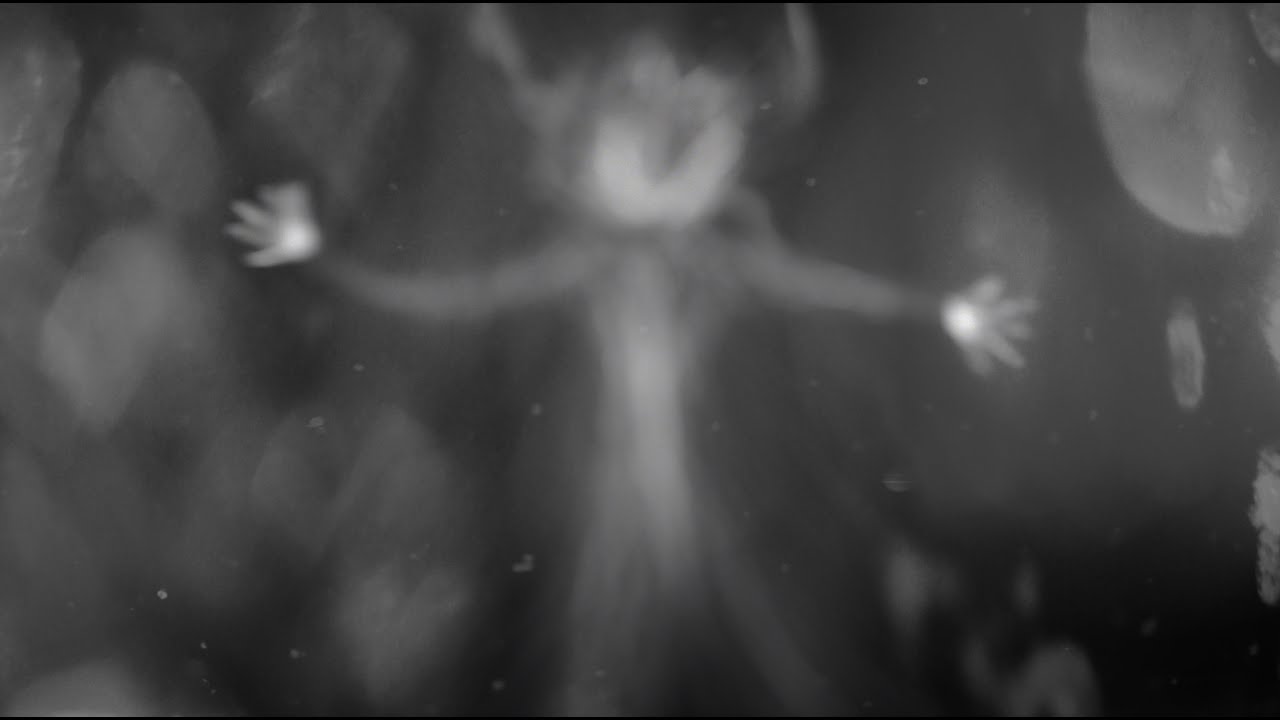 Purity Ring - neverend ((tachys remix)) (official music video)