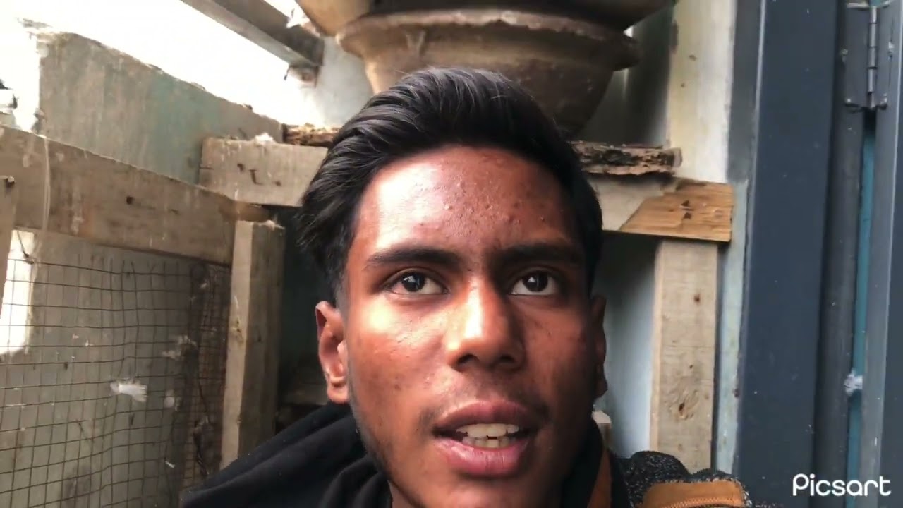 DaimShekari. Pet long. Vlogs like 👍 follow and new surprise 