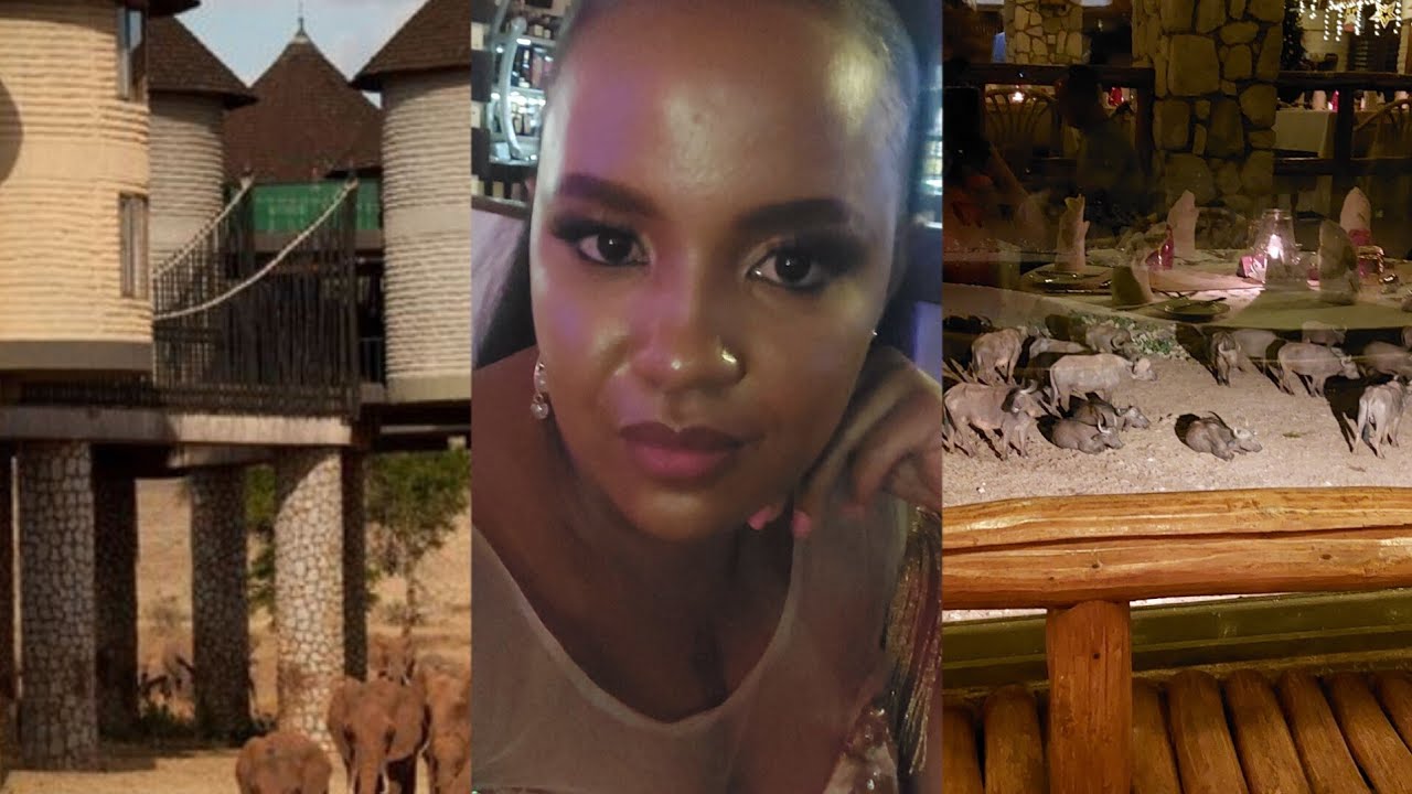 Saltlick lodges taita hills//tsavo West national park// Game drive. #travelvlog