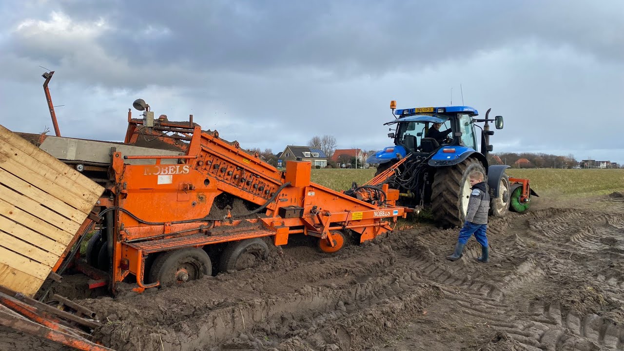 Narcissen planten en wortels rooien in de modder 🚜🥕