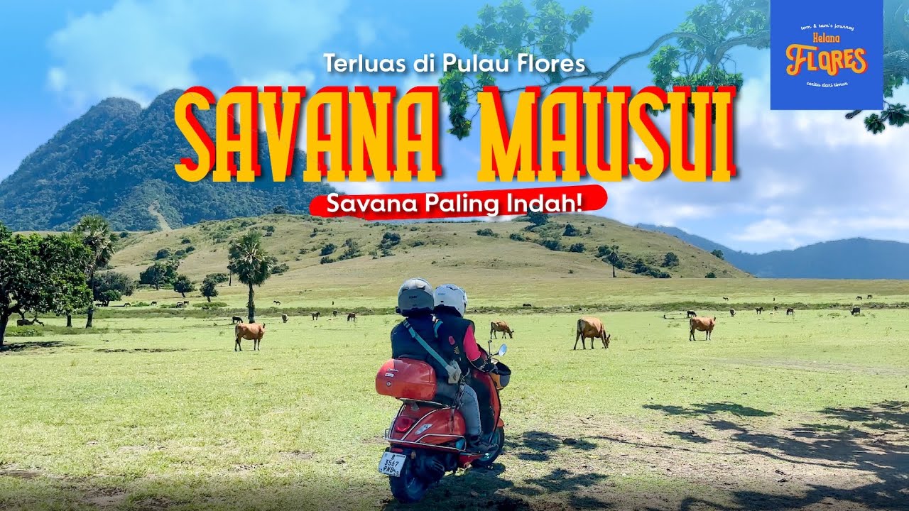 Savana Mausui, Padang Rumput Paling Indah di Indonesia. Mau Heran Tapi Ini Nyata! [7/10]
