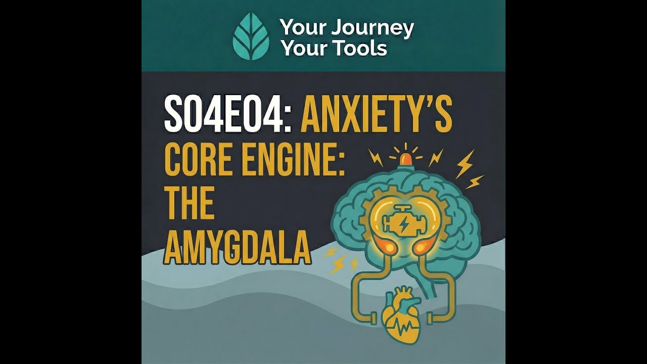 S04E04: Anxiety's Core Engine – Meet Your Amygdala
