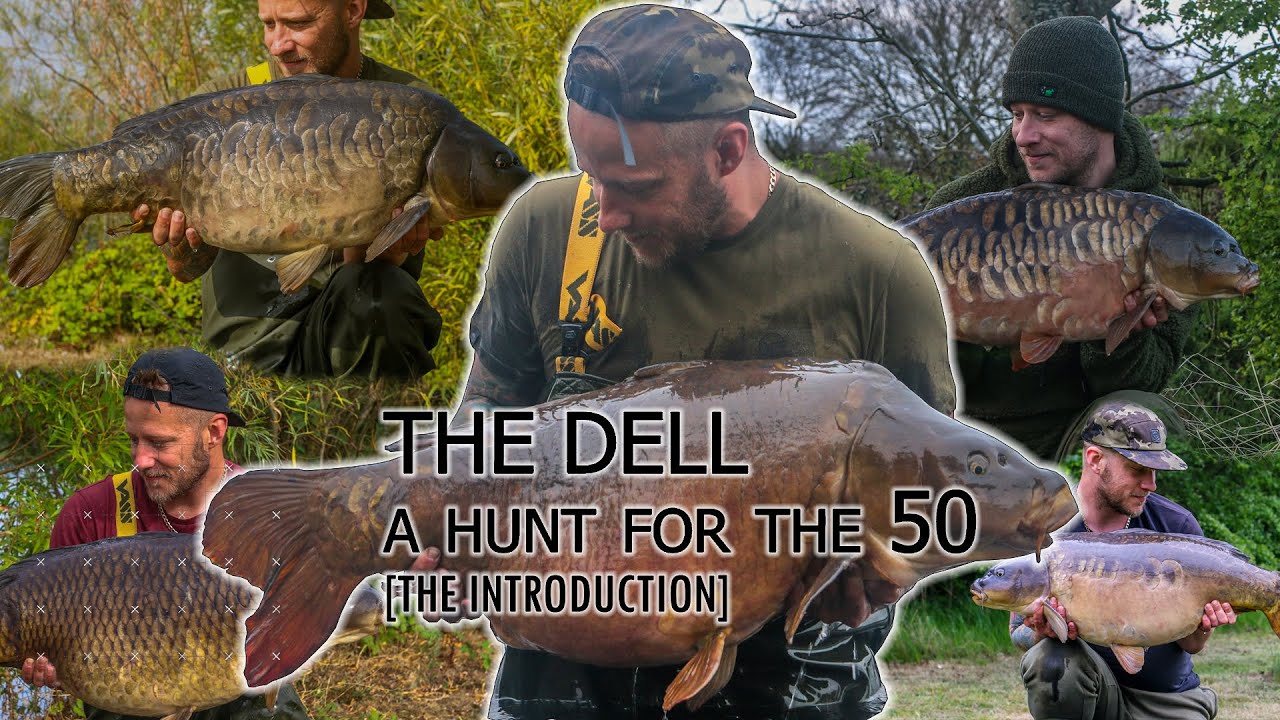 THE DELL - A HUNT FOR A 50 - THE INTRODUCTION