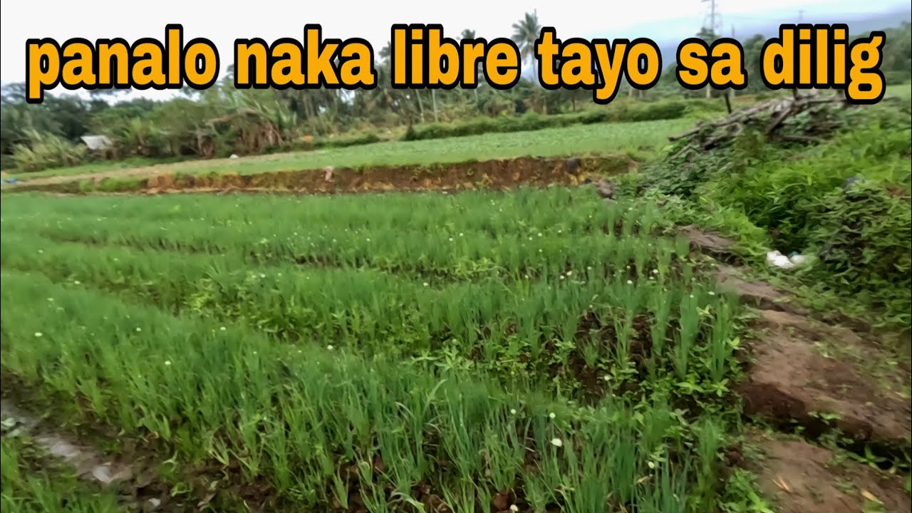 Laking natipid natin sa Pag ulan