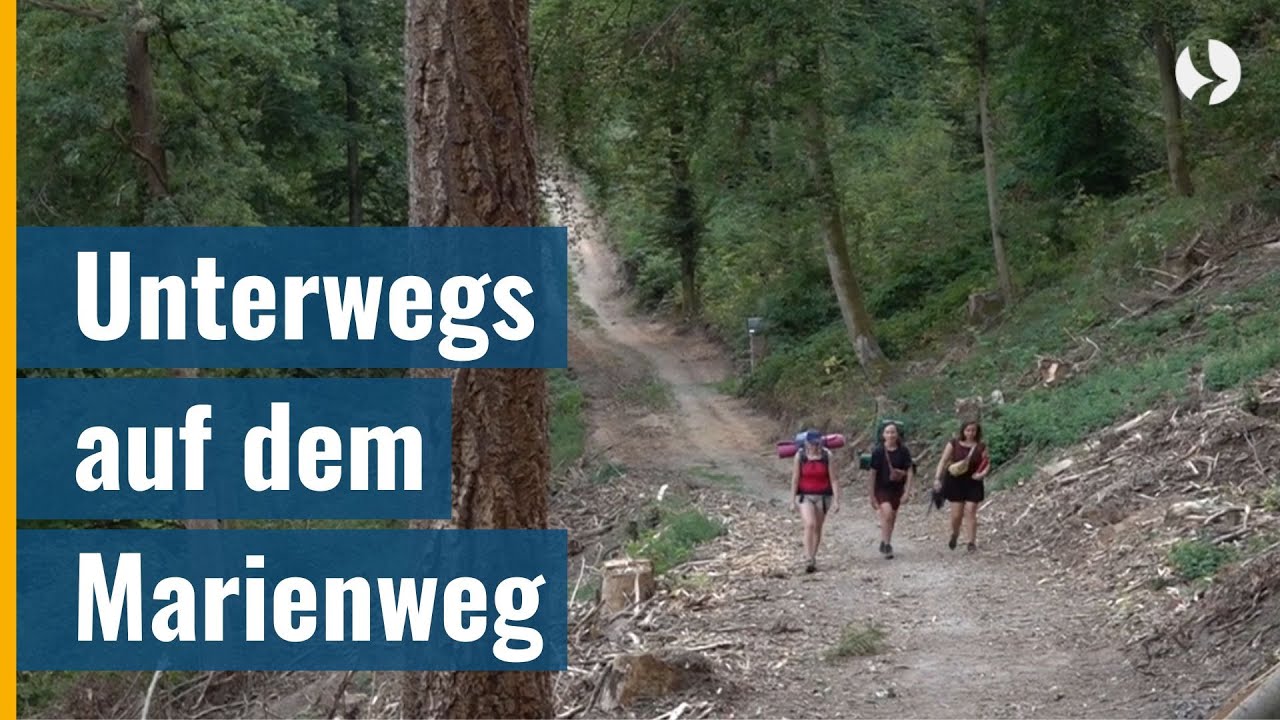 Der Weg ist das Ziel - Pilgern durch den Spessart