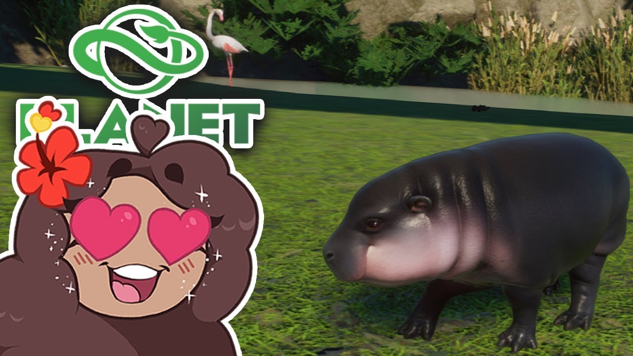 Birth of a BABY PYGMY HIPPO!! 🐼 Daily Planet Zoo! • Zoodesia! • Day 107