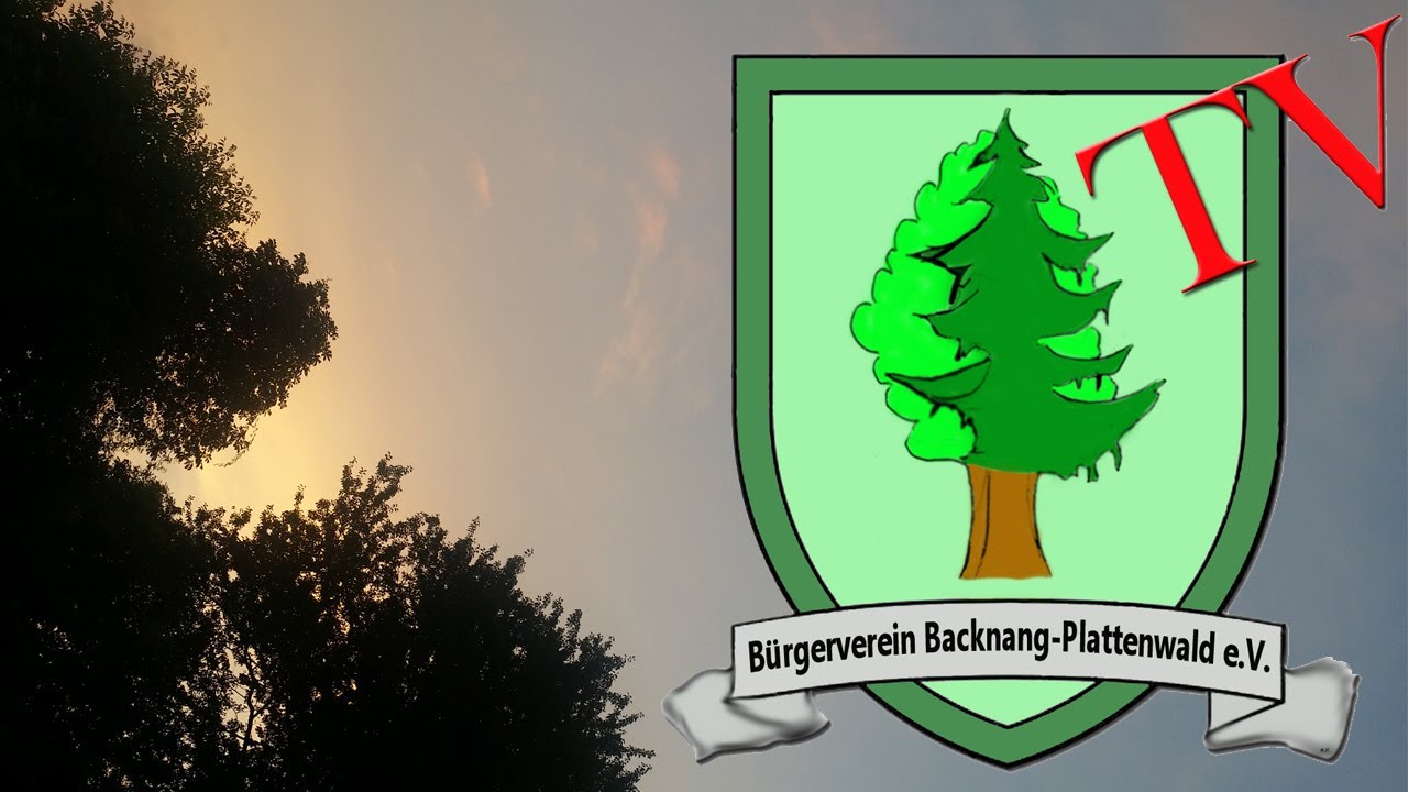 Waldspaziergang durch den zerstörten Plattenwald bei Backnang mit BUND Prof. Dr. Brunold