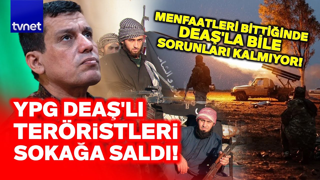 Türk bayrağına saldıran YPG sempatizanlarına ne oldu?