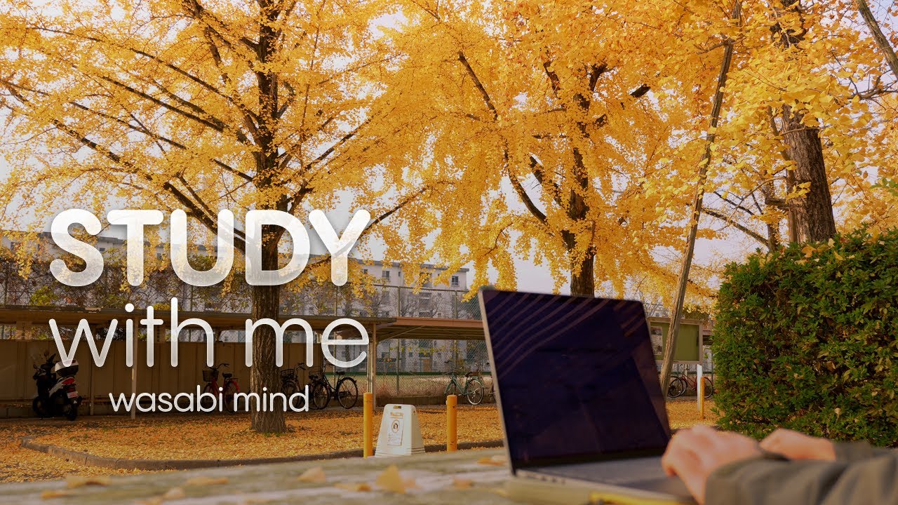 my campus gave me the perfect spot to film a study with me 🏫✨ | Pomodoro 25+ Method | wasabi mind
