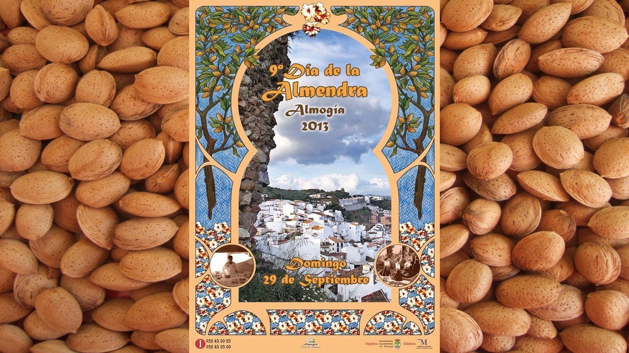 Fiesta De La Almendra En Almogía, Málaga 2013