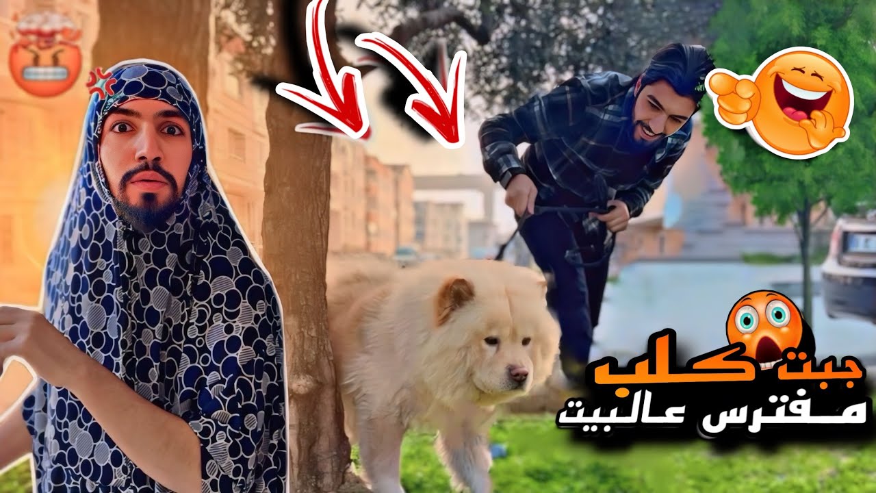 جبت كلب مفترس عالبيت وفقدت السيطره عليه🐶😱🔥 obada kauoge