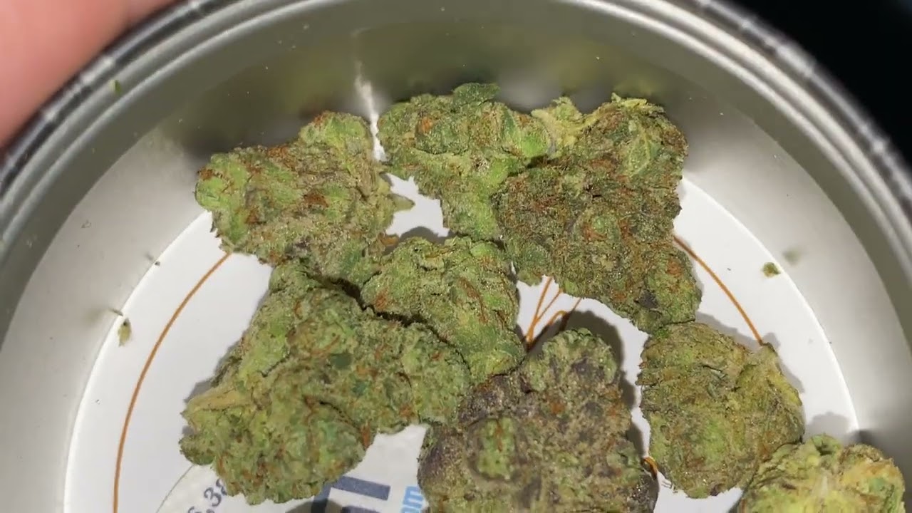 Pie Crust (Grow West) [Malibu Pie x Grapple Cookies