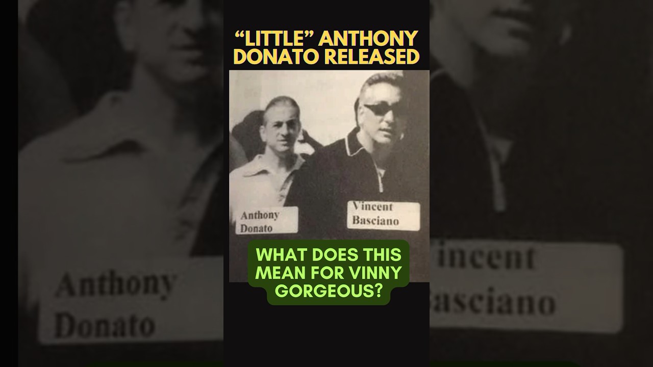 ANOTHER GANGSTER GETS RELEASED and What About Vinny Basciano?  #bonannofamily #fivefamilies