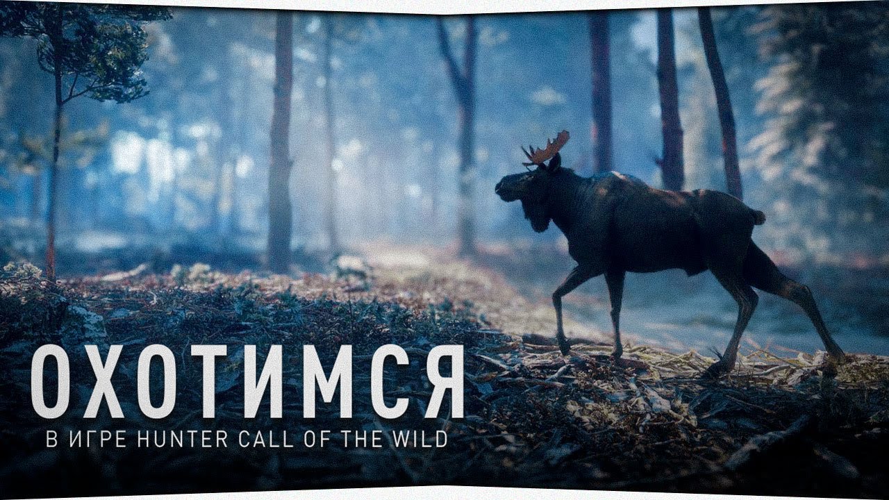 theHunter: Call of the Wild #1 🔫 - Начало - Вспоминаем как играть - Прохождение.