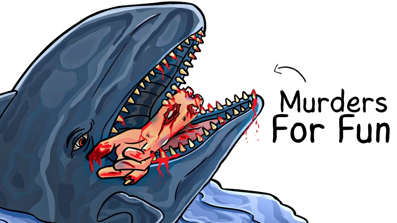 Why it Sucks To Be Born As a False Killer Whale