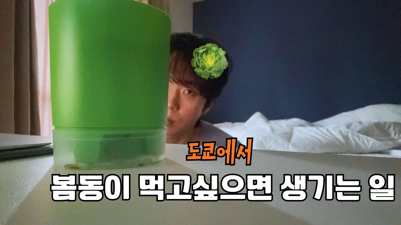 봄동 그리고 희망 [일본 6]