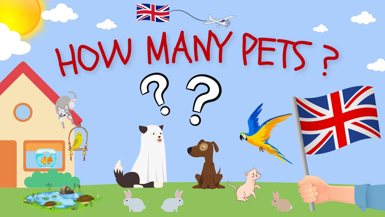 How many ?  Pets ESL English practice