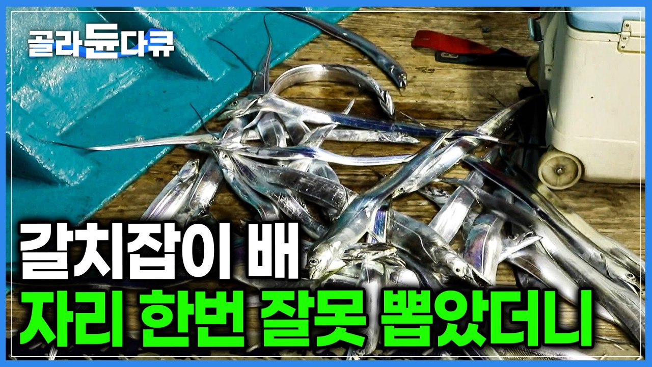 낚시로 하루에 200마리? 타고난 어복 없어도 자리 뽑기만 잘하면 박스 한가득 잡힌다는 갈치! ｜여수 국동항 갈치잡이｜한국기행｜#골라듄다큐