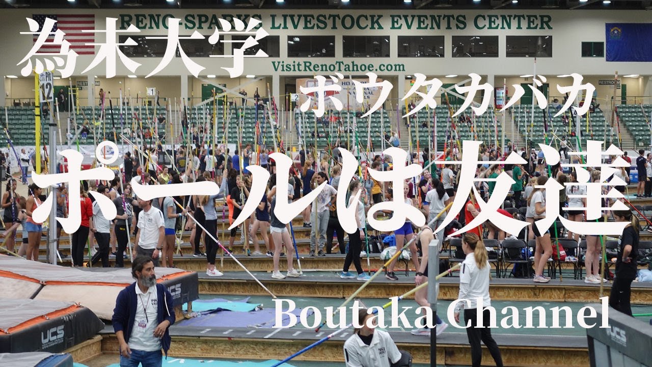 愛すべきバカシリーズ「ボウタカバカ」～ポールは友達