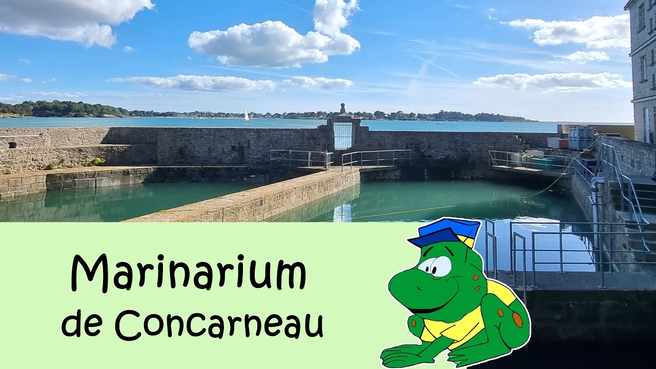 Marinarium de Concarneau, nazomer 2024