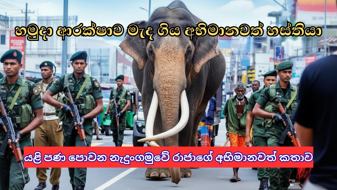 නැදුංගමුවේ රාජා: ආසියාවේ තේජවන්තම හස්තියාගේ අමරණීය කතාව | The Legend of Asia’s Tallest Tusker