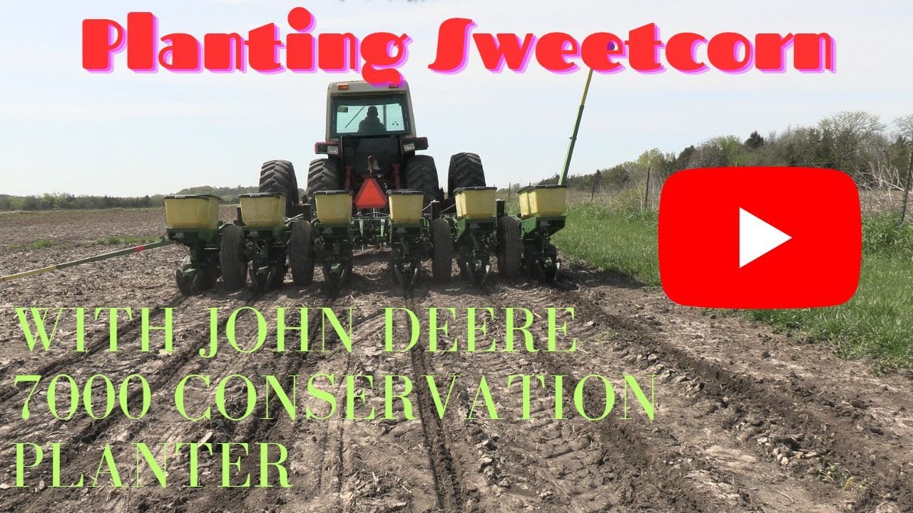 Planting Sweetcorn With John Deere 7000 Conservation Planter