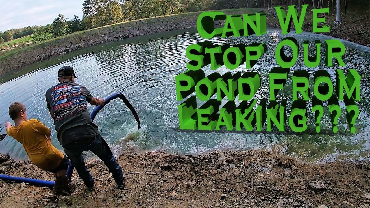 Treating Farm Pond Seepage (Leak) With Pondenviro DB110 - Application First Five Day Results