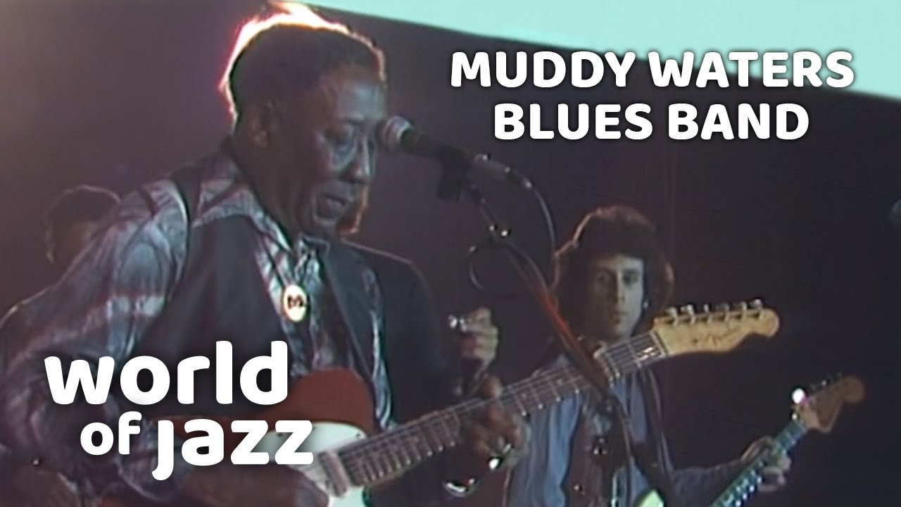 Muddy Waters Blues Band Live At The North Sea Jazz Festival • 15-07-1979 • World of Jazz