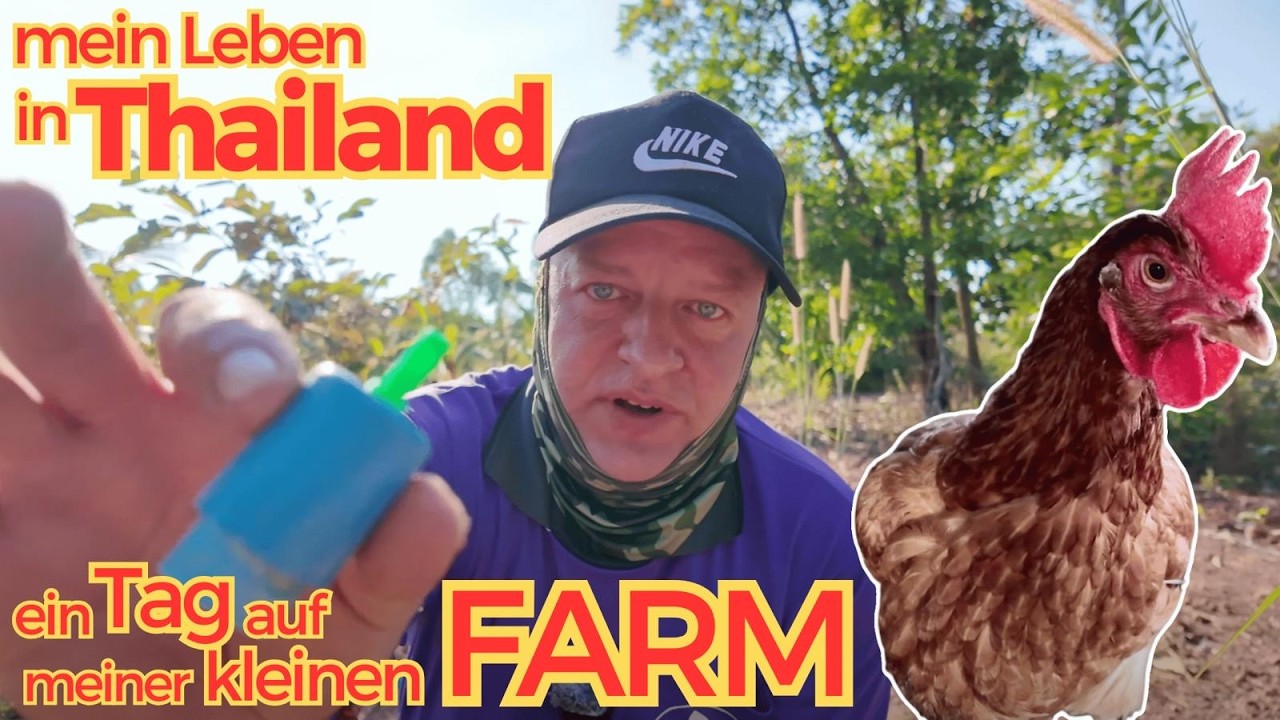 Mein Leben in Thailand - Ein Tag auf meiner kleinen Farm - Folge 53