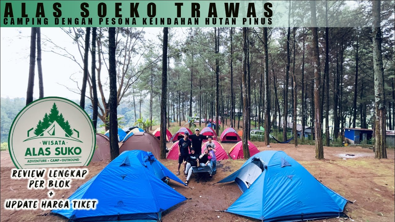 Alas Soeko Trawas || Wajib Camping di Blok Ini Biar Tambah Syahdu ‼️