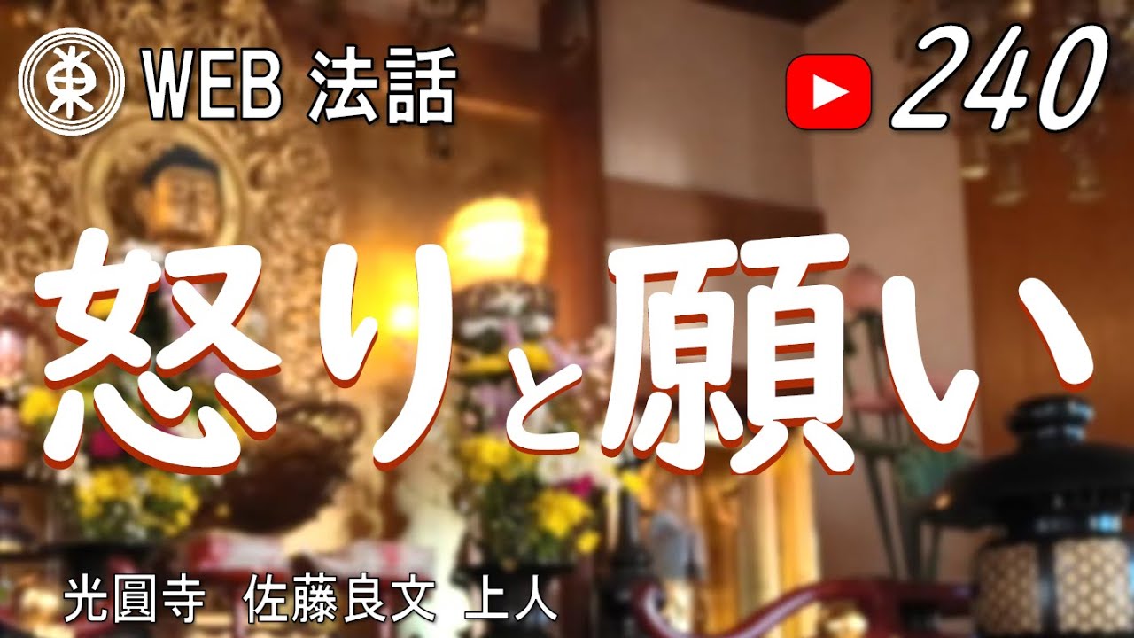 【浄土宗東京教区WEB法話】第240回　怒りと願い