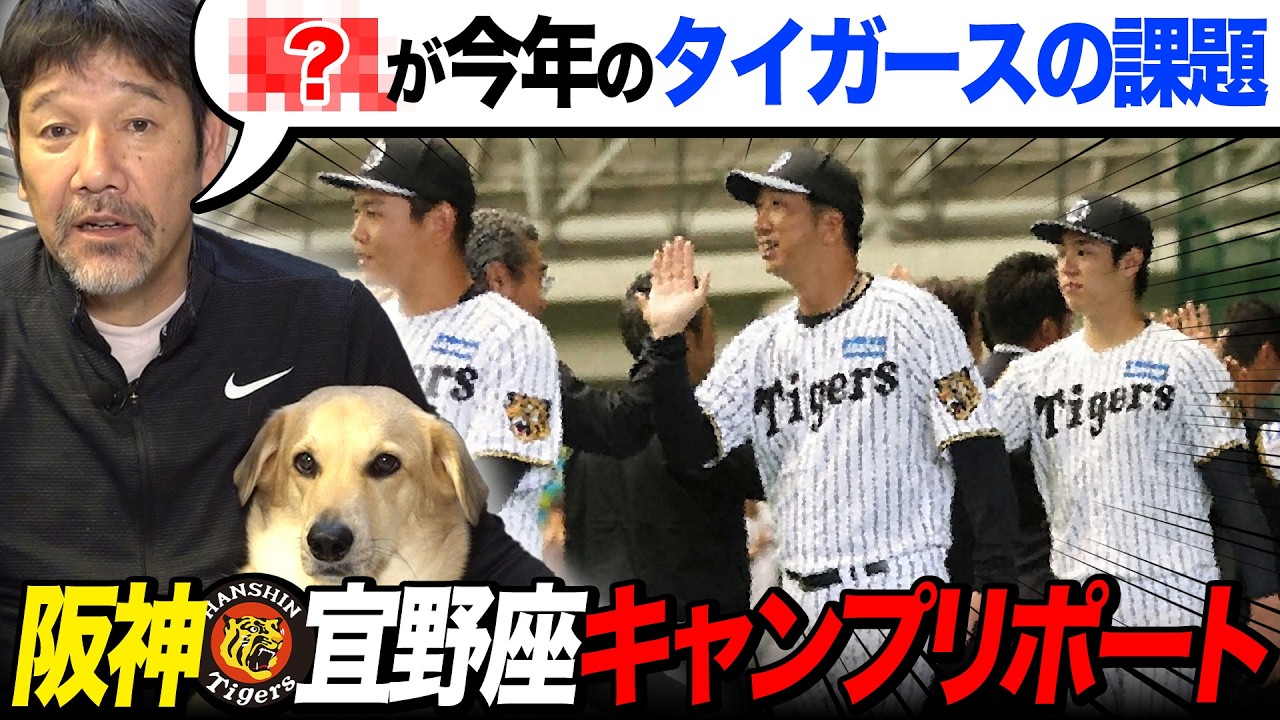 【下柳キャンプレポ】阪神連覇の道は石井投手離脱で大ピンチ!?