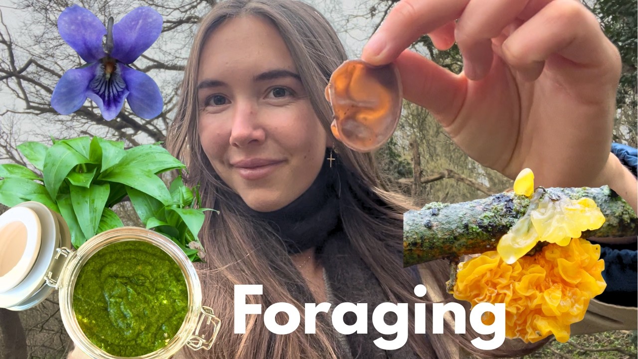 Winter Foraging in February UK | Identifying Plants & Mushrooms + Wild Garlic Pesto Recipe!