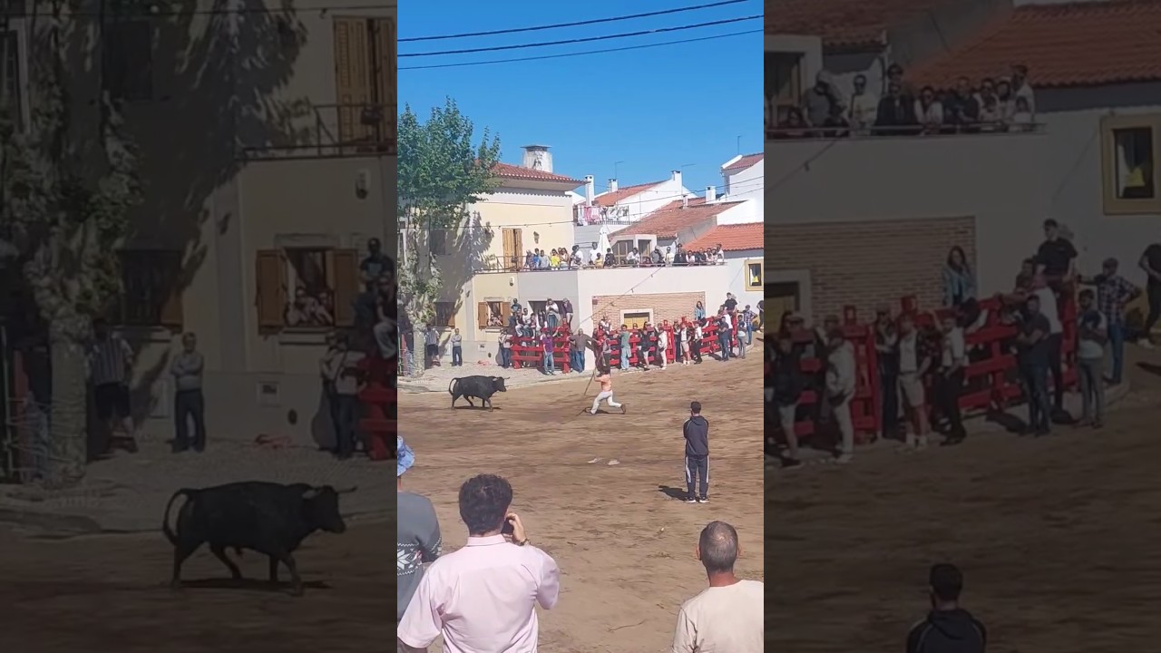 Destaques Samora Correia 2025 Largadas Semana Taurina