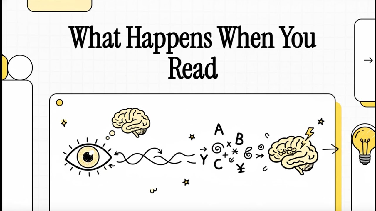 👁️ How Your Brain Reads: Visual Word Recognition