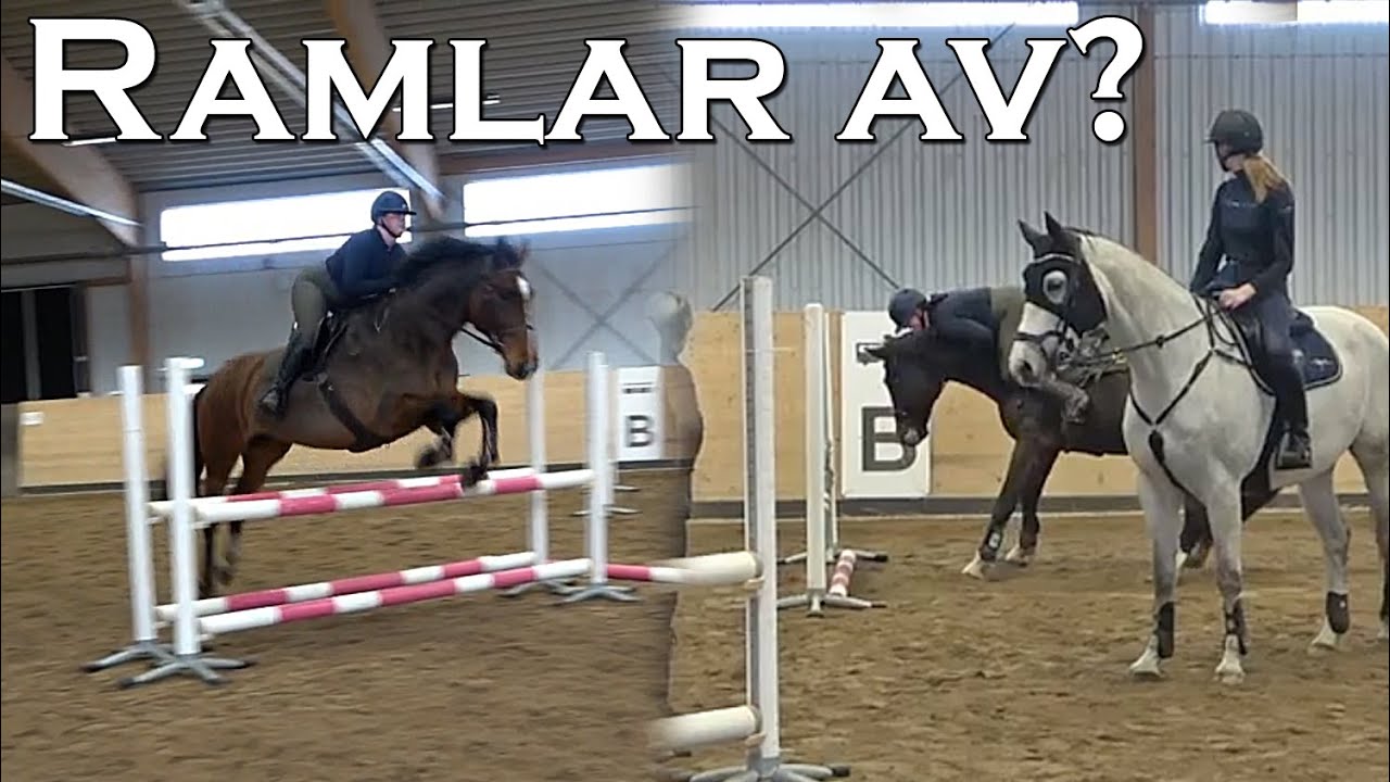 Focus VÄGRAR hoppa med Emma... Stallvlogg