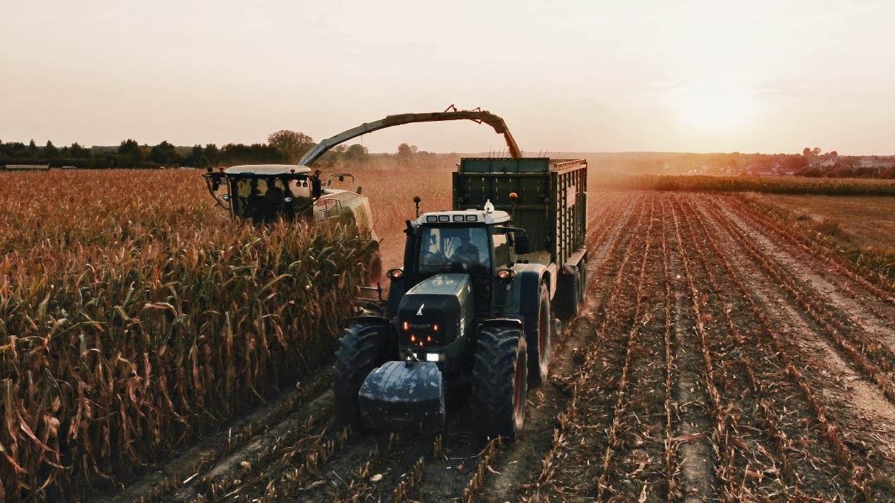 🚜🇵🇱 |4k| Najwyższa pryzma w okolicy?!😱Oporowa kiszonka z UR ZAKRZEWSKI & GR NOCEK ★ 🔥 ★ Valtra Q285