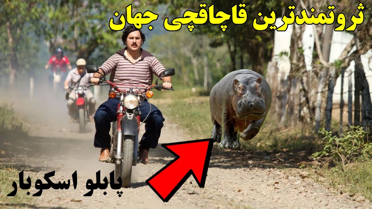 پابلو اسکوبار بزرگترین قاچاقچی تاریخ پول هایش را چطوری خرج می کرد؟