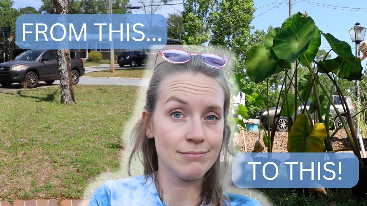 creating a front yard garden + tree removal!