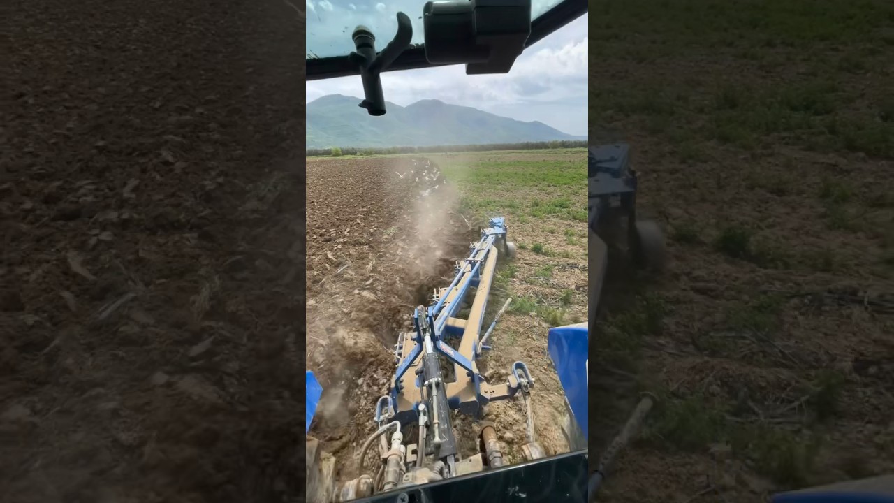 Trakt&ouml;rle pulluk işlemi #traktor #pulluk #tarım #ziraat #&ccedil;ift&ccedil;i #doğa #agriculture #tarla #patlıcan