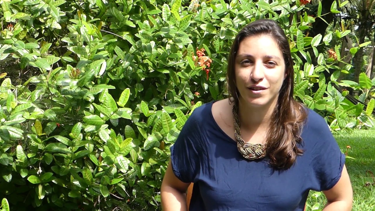 Le volontariat au service de la préservation de l'environnement : Chloé, VSI